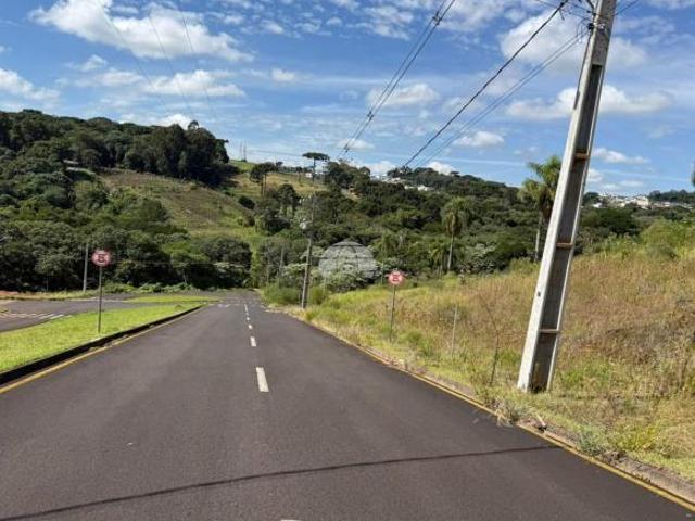 Terreno venda em Região Geográfica Imediata de Pato Branco, Região Sul