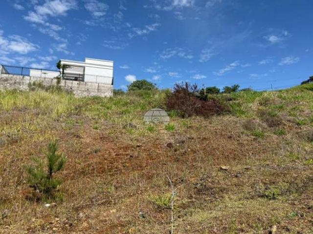 Terreno venda em Região Geográfica Imediata de Pato Branco, Região Sul