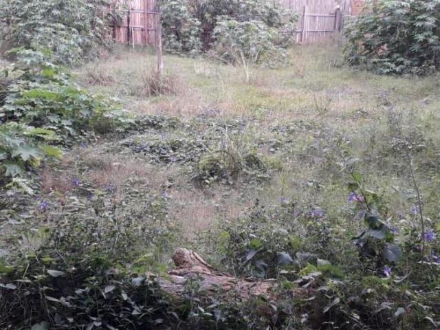 Terreno venda em Região Geográfica Imediata de Pelotas, Aglomeração Urbana do Sul