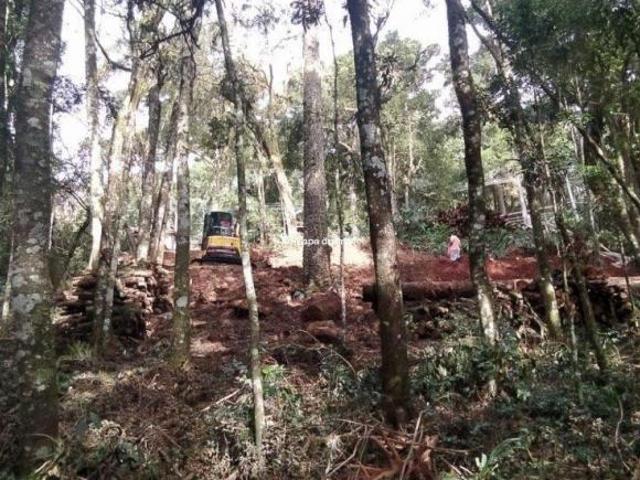 Terreno venda em Região Geográfica Imediata de Caxias do Sul, Canela