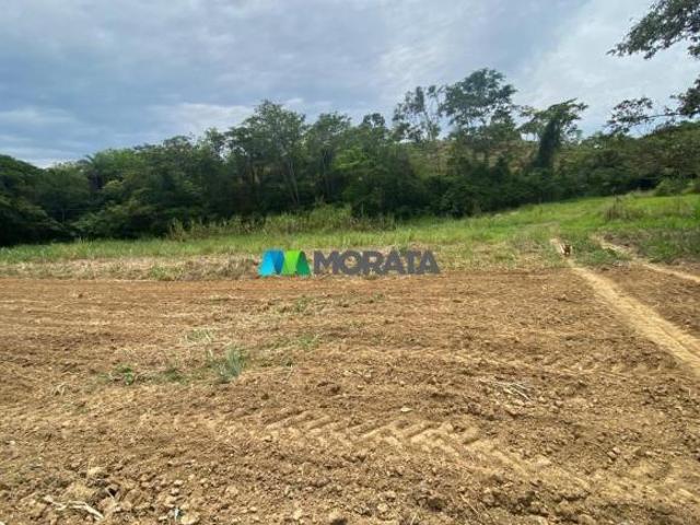 Sítio e chácara venda em Jequitibá, Região Geográfica Intermediária de Belo Horizonte