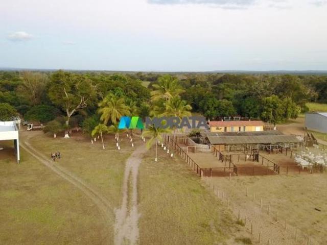 Sítio e chácara venda em Região Geográfica Imediata de Pirapora, Pirapora