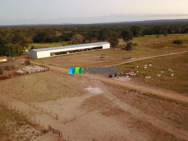 Sítio e chácara venda em Região Geográfica Imediata de Pirapora, Pirapora
