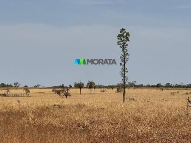 Sítio e chácara venda em Região Geográfica Imediata de Abaeté, Abaeté