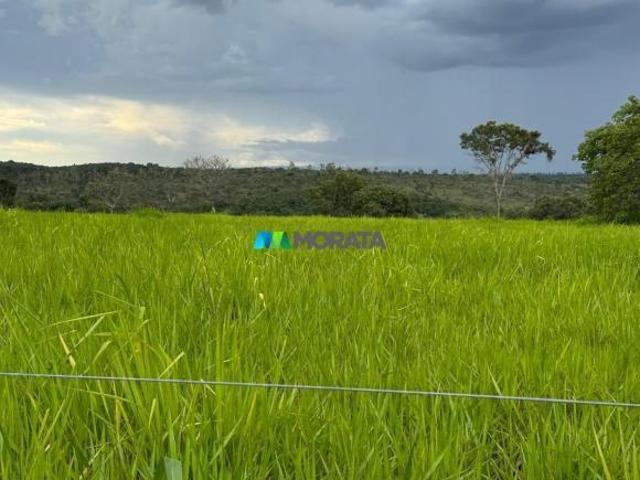 Sítio e chácara venda em Região Geográfica Imediata de Sete Lagoas, Cordisburgo