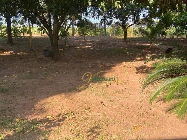 Sítio e chácara venda em Região Imediata de São José do Rio Preto, Região Metropolitana de São José do Rio Preto