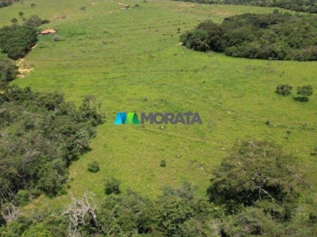 Sítio e chácara venda em Três Marias, Região Geográfica Imediata de Curvelo
