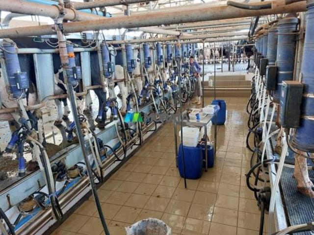 Sítio e chácara venda em Cordisburgo, Região Geográfica Intermediária de Belo Horizonte
