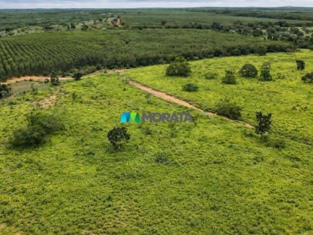 Sítio e chácara venda em Curvelo, Região Geográfica Intermediária de Belo Horizonte