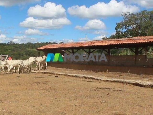 Sítio e chácara venda em Região Geográfica Imediata de Januária, Januária