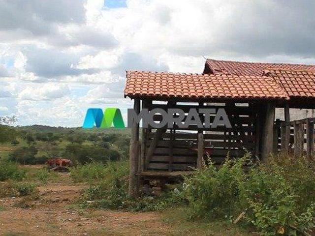 Sítio e chácara venda em Região Geográfica Imediata de Januária, Januária