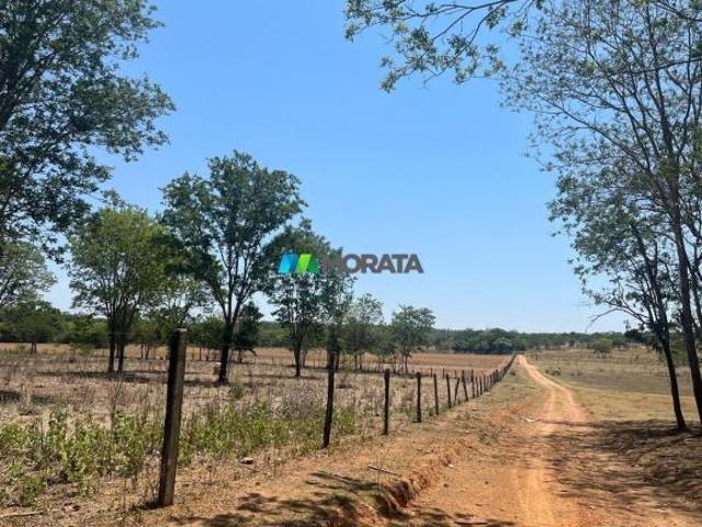 Sítio e chácara venda em Curvelo, Região Geográfica Intermediária de Belo Horizonte