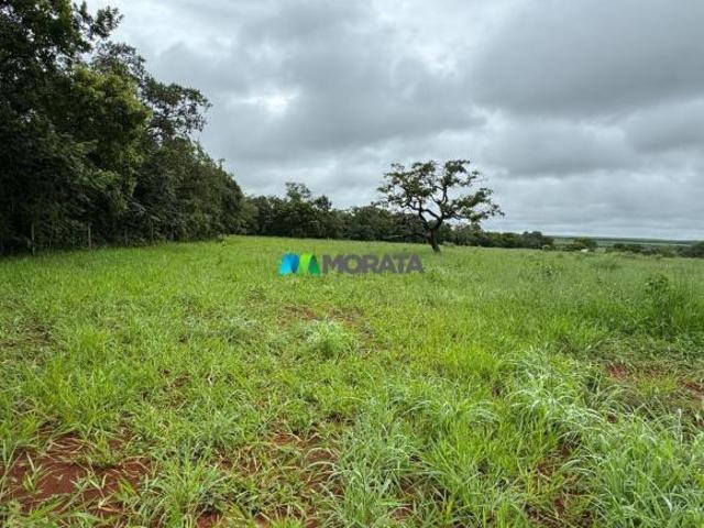 Sítio e chácara venda em Curvelo, Região Geográfica Intermediária de Belo Horizonte