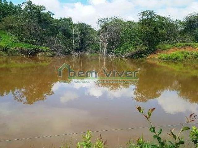 Sítio e chácara venda em Região Geográfica Imediata de Curvelo, Curvelo