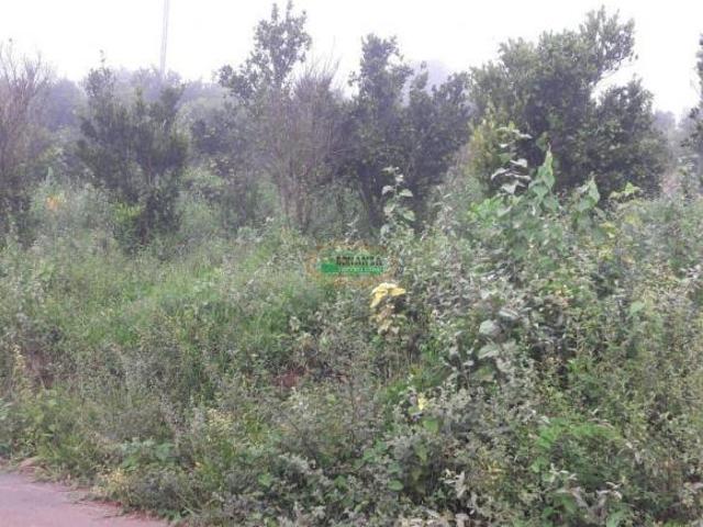 Terreno venda em Região Geográfica Imediata de Conselheiro Lafaiete, Belo Vale