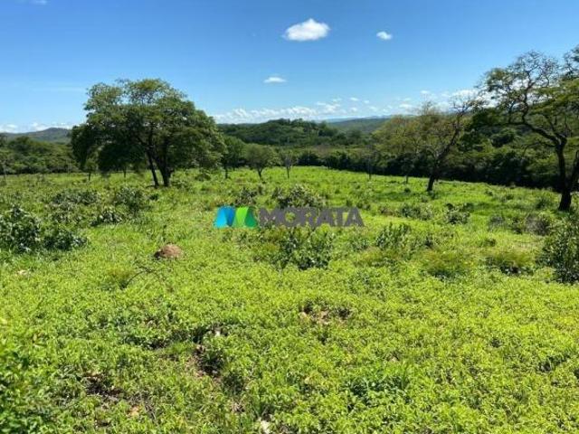Sítio e chácara venda em Curvelo, Região Geográfica Intermediária de Belo Horizonte