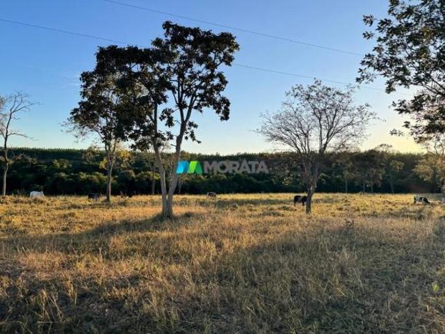Sítio e chácara venda em Região Geográfica Imediata de Sete Lagoas, Cordisburgo