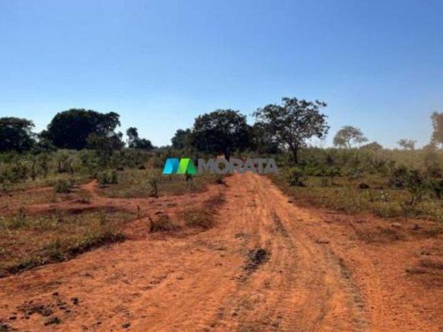 Sítio e chácara venda em Corinto, Região Geográfica Intermediária de Belo Horizonte