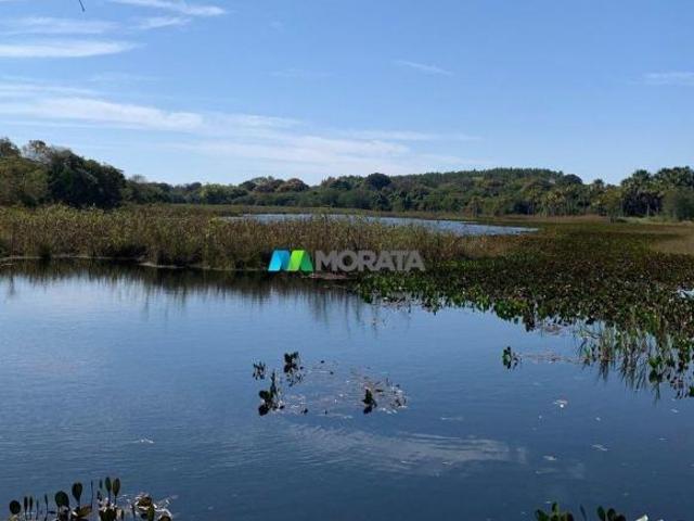 Sítio e chácara venda em Região Geográfica Imediata de Curvelo, Felixlândia