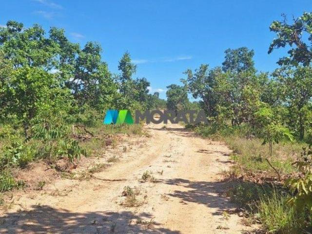 Sítio e chácara venda em Corinto, Região Geográfica Intermediária de Belo Horizonte