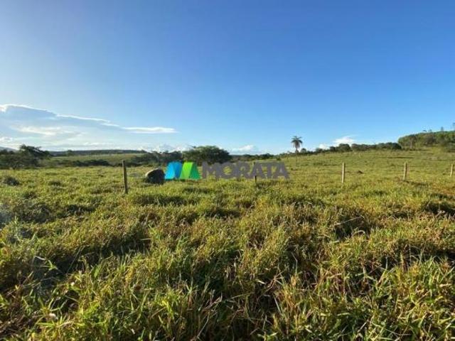 Sítio e chácara venda em Baldim, Região Geográfica Intermediária de Belo Horizonte