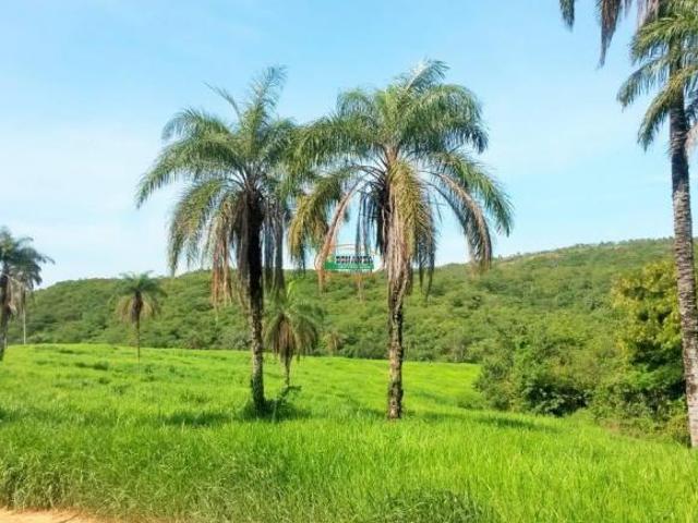 Sítio e chácara venda em Região Geográfica Imediata de Patos de Minas, São Gonçalo do Abaeté