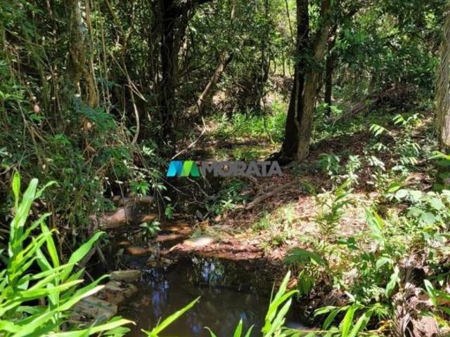 Sítio e chácara venda em Baldim, Região Geográfica Intermediária de Belo Horizonte