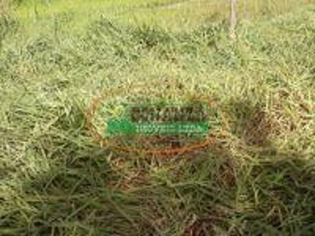Terreno venda em Região Geográfica Imediata de Conselheiro Lafaiete, Rio Espera
