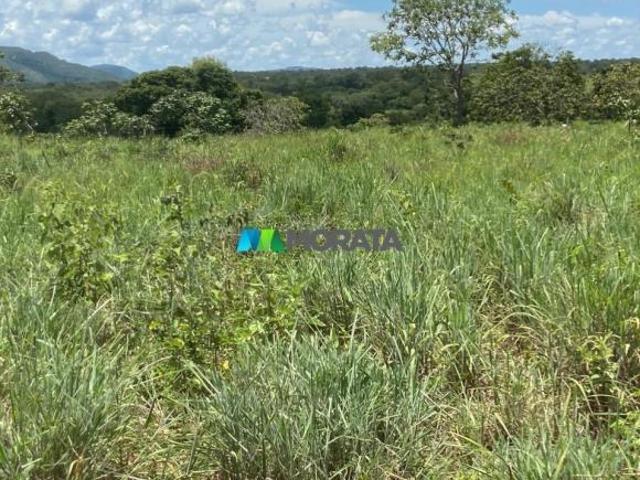 Sítio e chácara venda em Região Geográfica Imediata de Unaí, Região Integrada de Desenvolvimento do Distrito Federal e Entorno