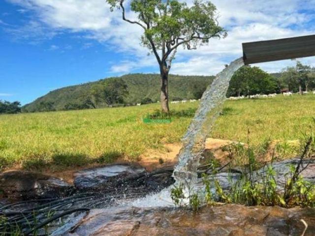 Sítio e chácara venda em Região Geográfica Imediata de Goiás - Itapuranga, Goiás