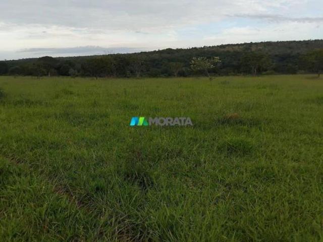Sítio e chácara venda em Região Geográfica Imediata de Curvelo, Curvelo
