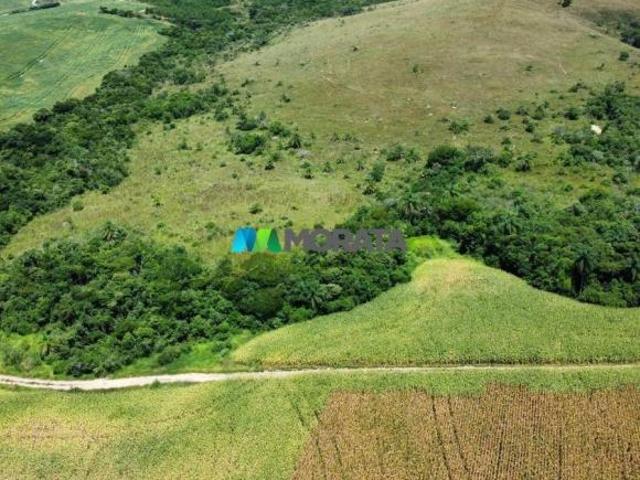 Sítio e chácara venda em Região Geográfica Imediata de Lavras, Carrancas