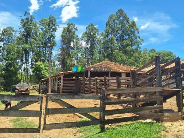 Sítio e chácara venda em Luz, Região Geográfica Intermediária de Divinópolis