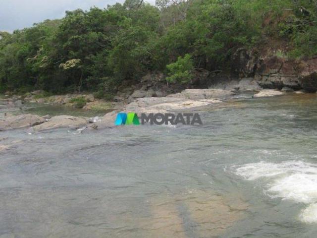 Sítio e chácara venda em Região Geográfica Imediata de Unaí, Região Integrada de Desenvolvimento do Distrito Federal e Entorno
