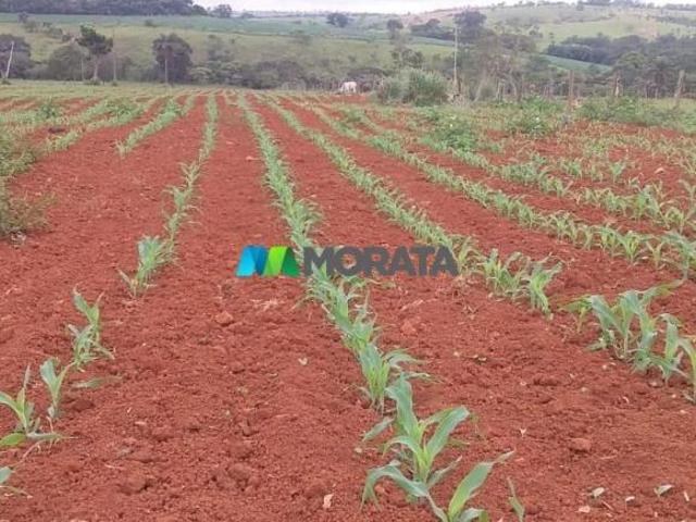 Sítio e chácara venda em Região Geográfica Imediata de Dores do Indaiá, Luz
