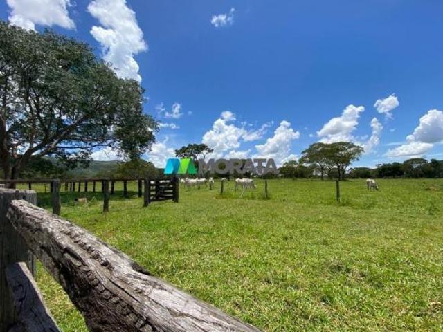 Sítio e chácara venda em Região Geográfica Imediata de Unaí, Região Integrada de Desenvolvimento do Distrito Federal e Entorno