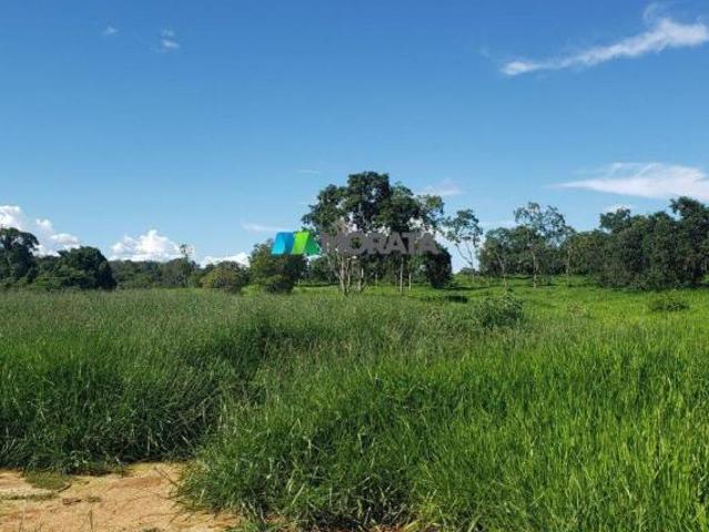 Sítio e chácara venda em Região Geográfica Imediata de Curvelo, Felixlândia