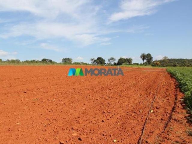 Sítio e chácara venda em Sete Lagoas, Região Geográfica Intermediária de Belo Horizonte