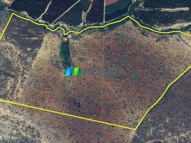 Sítio e chácara venda em Região Geográfica Imediata de Curvelo, Curvelo