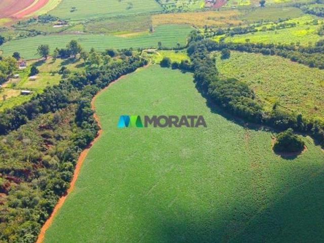 Sítio e chácara venda em Região Geográfica Imediata de Sete Lagoas, Caetanópolis