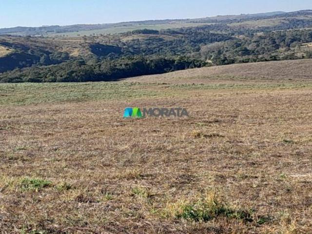 Sítio e chácara venda em Região Geográfica Imediata de Dores do Indaiá, Dores do Indaiá