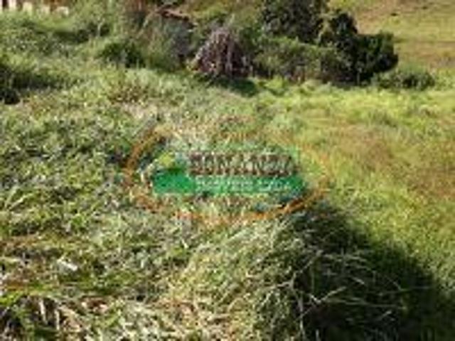 Terreno venda em Região Geográfica Imediata de Conselheiro Lafaiete, Rio Espera