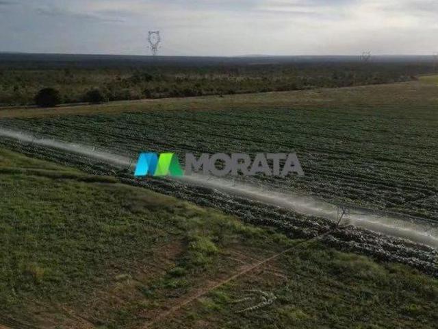 Sítio e chácara venda em Região Geográfica Imediata de Pirapora, Buritizeiro