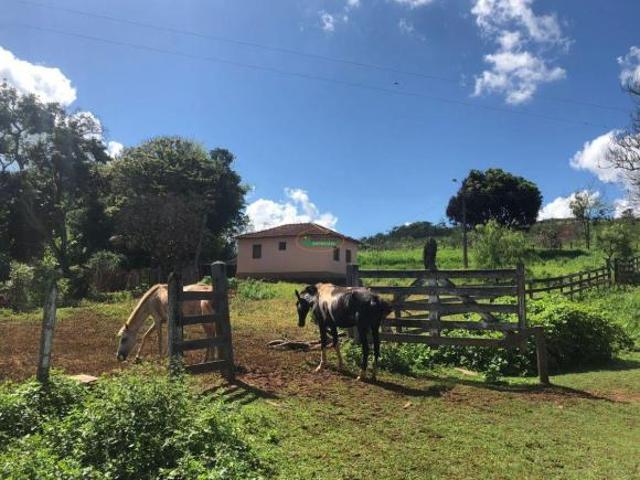 Sítio e chácara venda em Região Geográfica Imediata de Oliveira, Oliveira