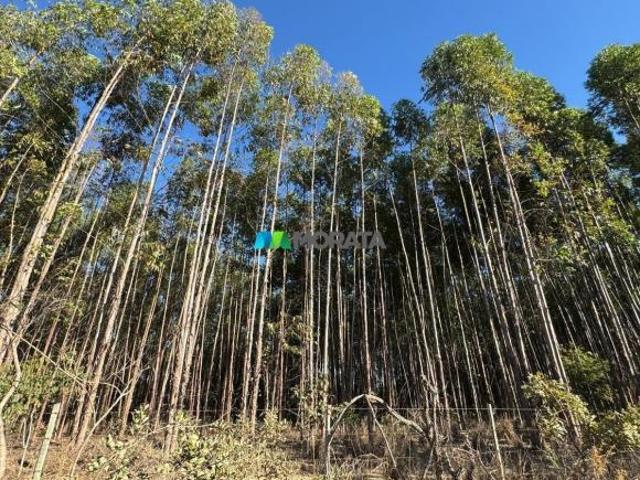 Sítio e chácara venda em Curvelo, Região Geográfica Intermediária de Belo Horizonte