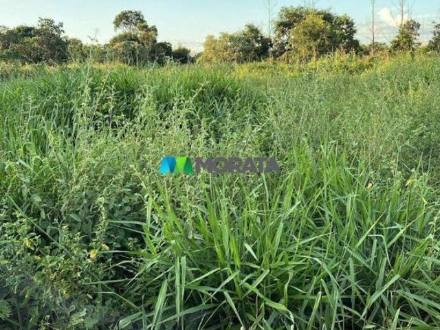 Sítio e chácara venda em Região Geográfica Imediata de Pirapora, Buritizeiro