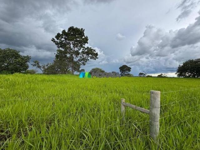 Sítio e chácara venda em Região Geográfica Imediata de Sete Lagoas, Cordisburgo