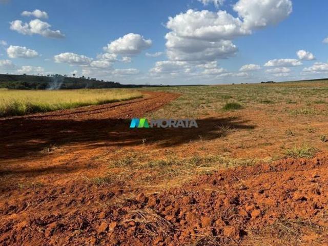 Sítio e chácara venda em Região Geográfica Imediata de Dores do Indaiá, Luz
