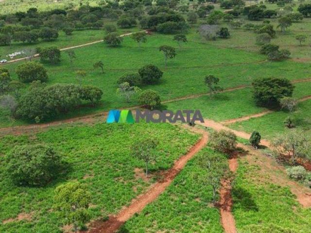 Sítio e chácara venda em Região Geográfica Imediata de Sete Lagoas, Jequitibá
