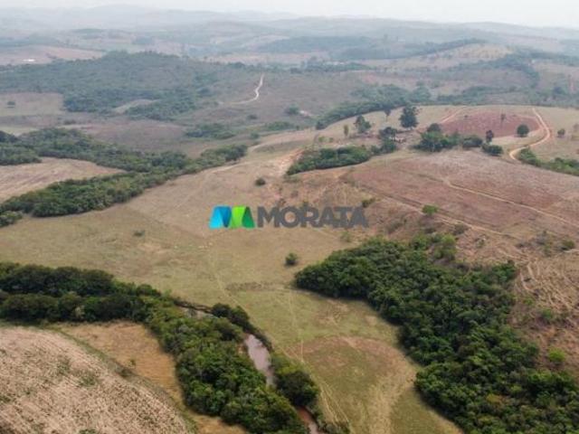 Sítio e chácara venda em Região Geográfica Imediata de Oliveira, Passa Tempo
